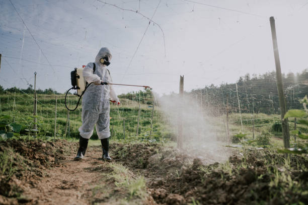 Best Commercial Pest Control Services  in Ironton, MO