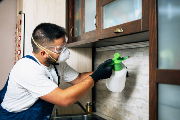 Best Cockroach Control Services  in Ironton, MO