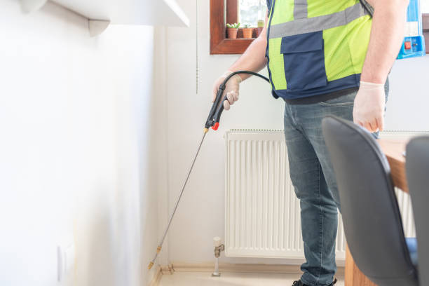 Best Flea Control Services  in Ironton, MO