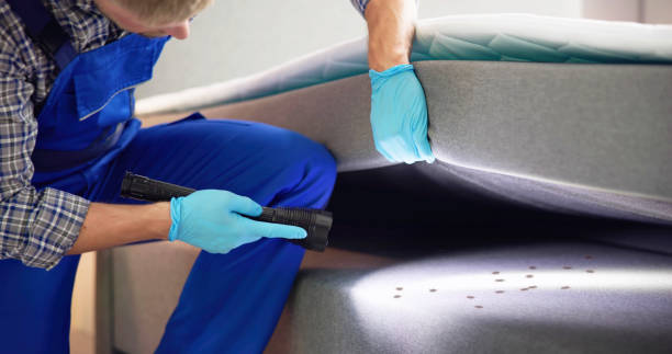 Best Commercial Pest Control Services  in Ironton, MO