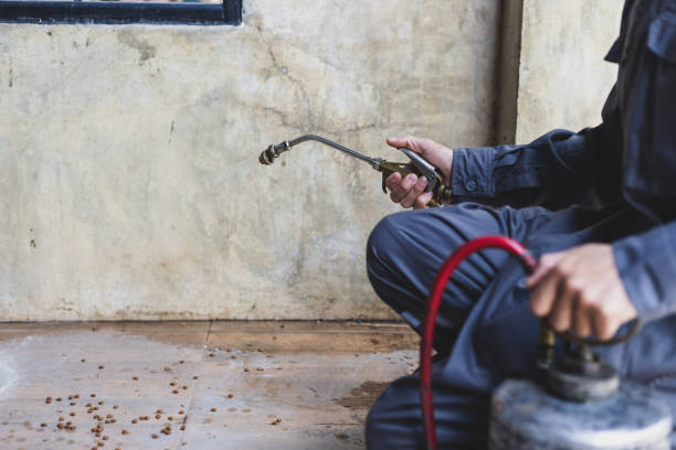 Best Pest Control Near Me in Ironton, MO