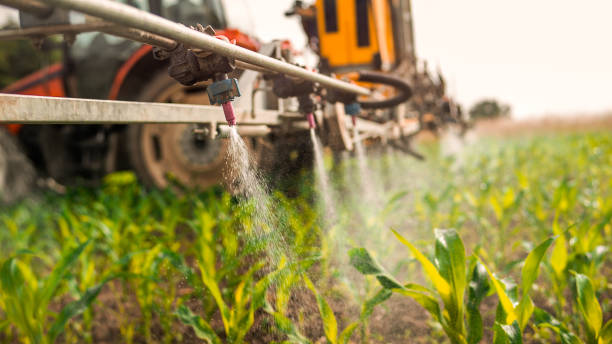 Best Mosquito Control Services  in Ironton, MO